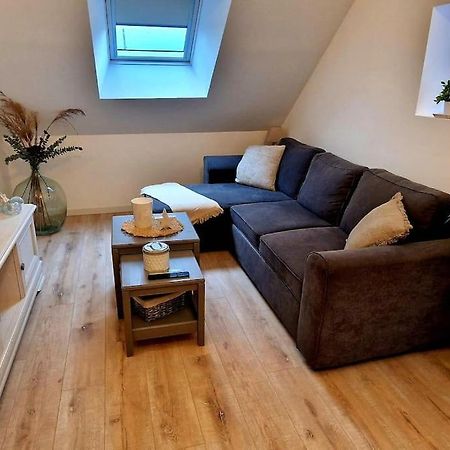 Appartement Charmant Et Spacieux Auxerre Extérieur photo