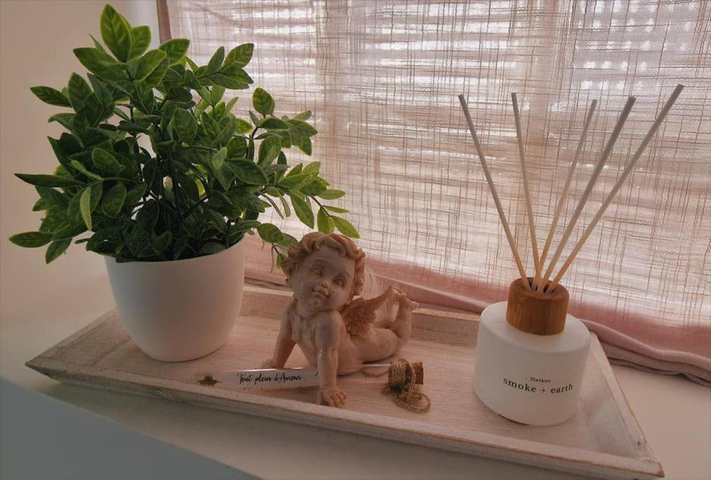 Appartement Charmant Et Spacieux Auxerre Extérieur photo