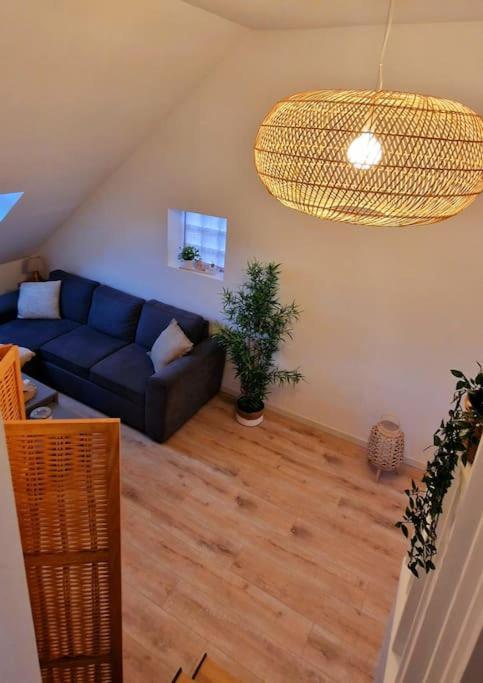 Appartement Charmant Et Spacieux Auxerre Extérieur photo